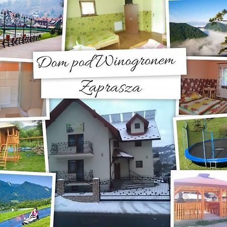 Ferienwohnung Dom Pod Winogronem Szczawnica Exterior foto